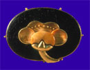 link to brooches gallery