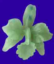 Picture of Cattleyia Percivaliana Orchid Wax Carving