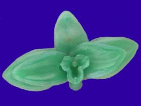 Picture of Sobralia Decora Orchid Wax Carving