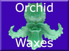 link to Orchid Wax Carvings